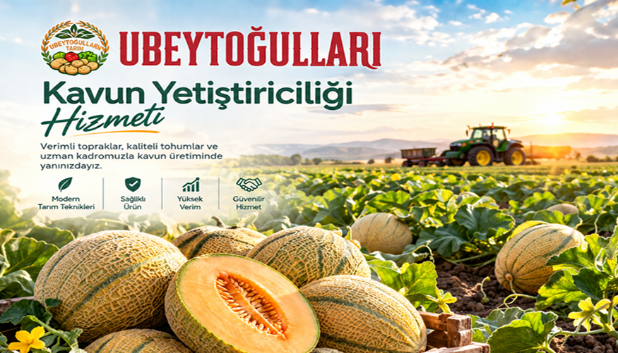 Kavun Yetiştiriciliği