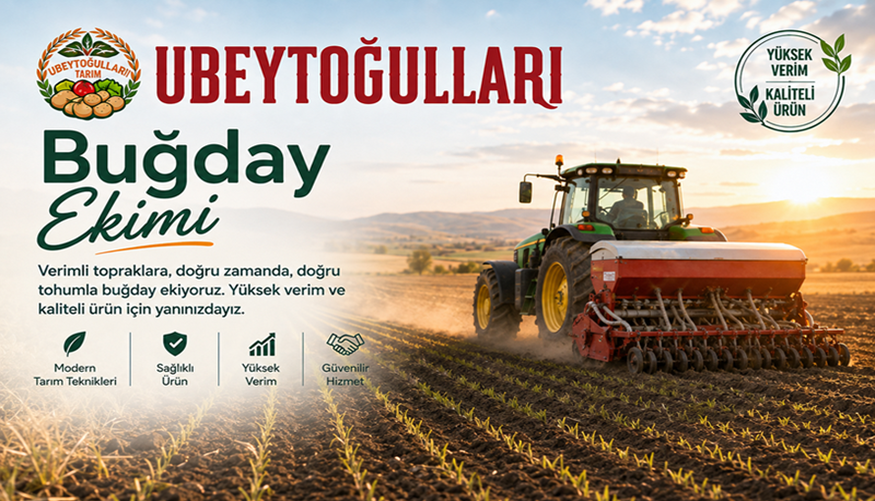 Buğday Ekimi