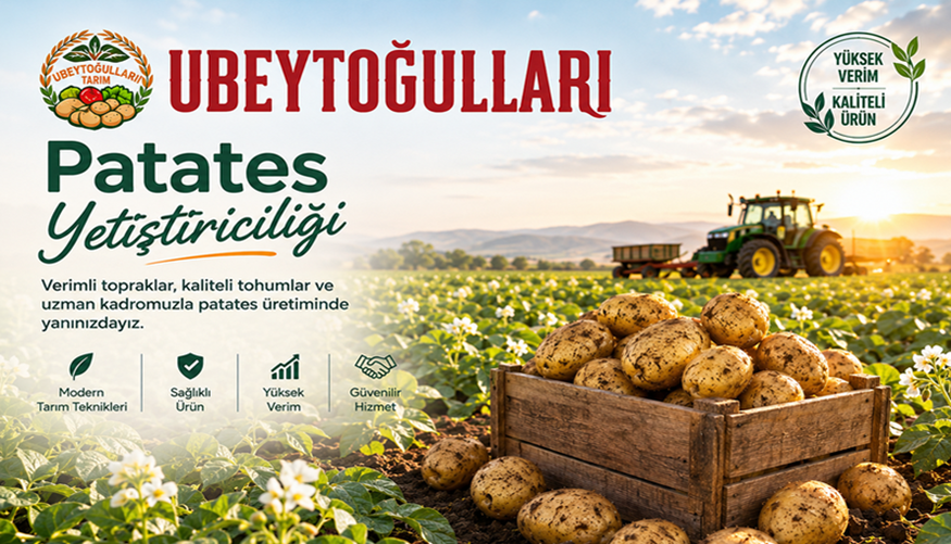Patates Yetiştiriciliği